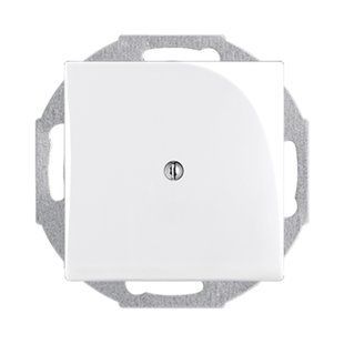 Заглушка ABB Basic 55 слоновая кость 2538-92-507 2CKA001715A0313 фото