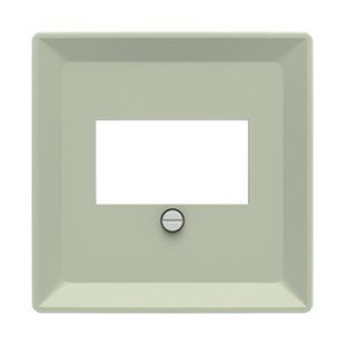 Панель TAE (для зар. USB/аудіорозетки/HDMI), ABB, ZONI (оливковий матовий), 5014T-A00040 243 2CHT290040A4243 фото
