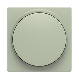 Панель світлорегулювача, ABB, ZONI (оливковий матовий), 3294T-A00123 243 2CHT940123A4243 фото